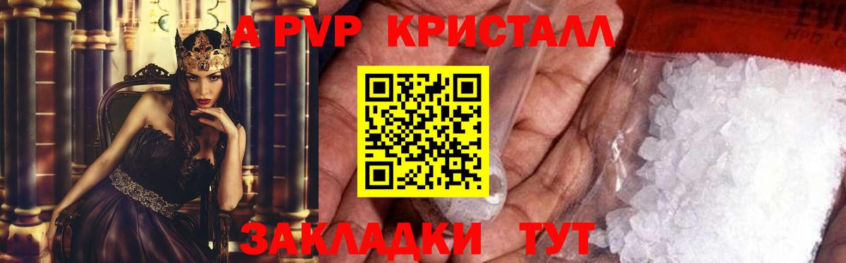 A PVP СК КРИС Канск