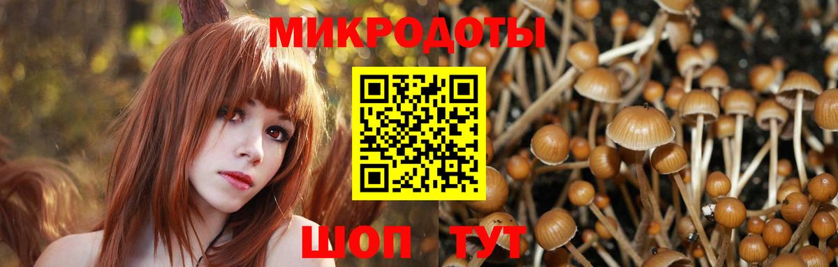 Канск  Псилоцибиновые грибы Psilocybine cubensis  Псилоцибиновые грибы GOLDEN TEACHER  Вход с VPN 